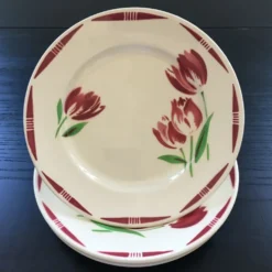 Lot 4 assiettes décor tulipes