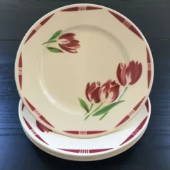 Lot 4 assiettes décor tulipes