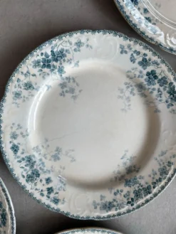 Lot 7 assiettes plates boulenger Choissy le roi