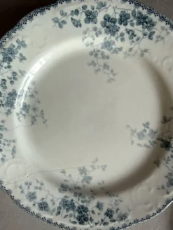 Lot 7 assiettes plates boulenger Choissy le roi