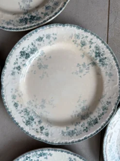 Lot 7 assiettes plates boulenger Choissy le roi