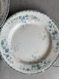 Lot 7 assiettes plates boulenger Choissy le roi