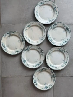 Lot 7 assiettes plates boulenger Choissy le roi
