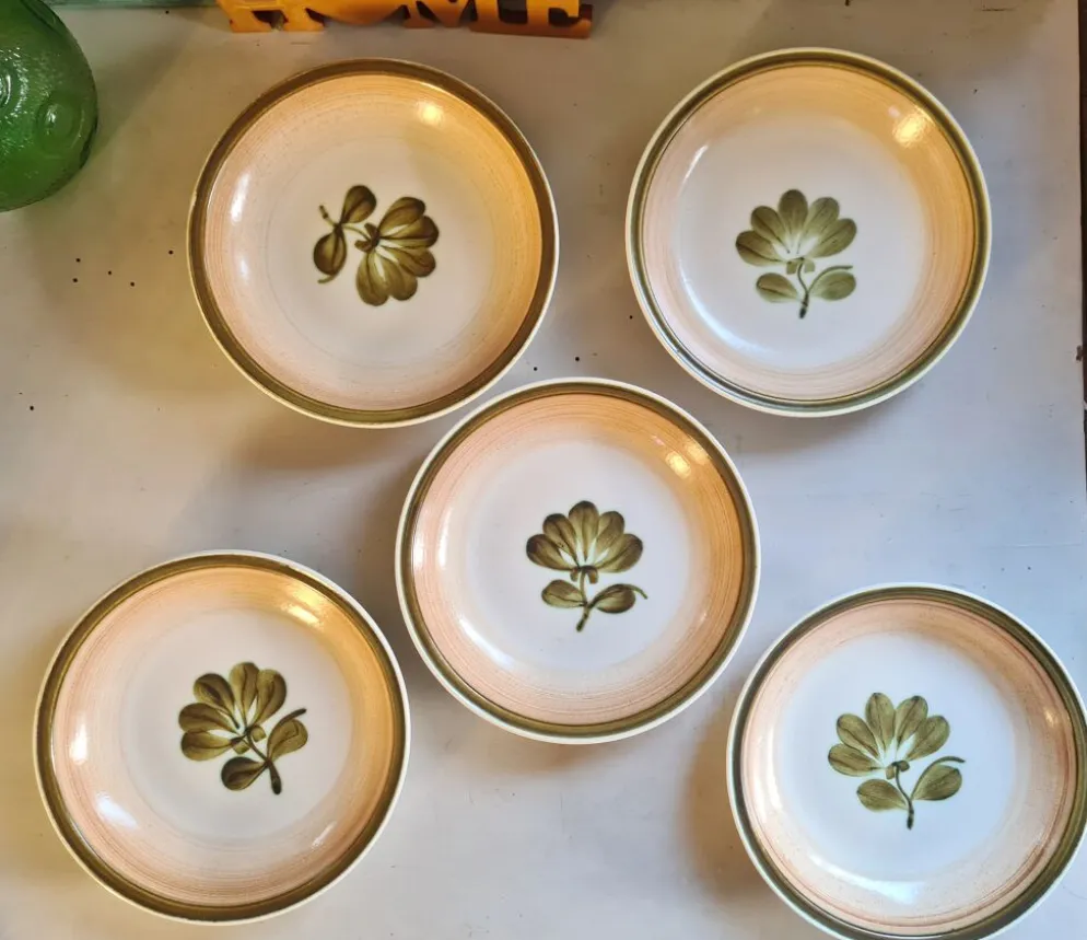 Lot de 5 assiettes calottes gien modèle kandy