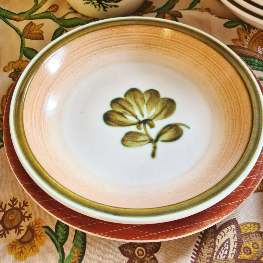 Lot de 5 assiettes calottes gien modèle kandy