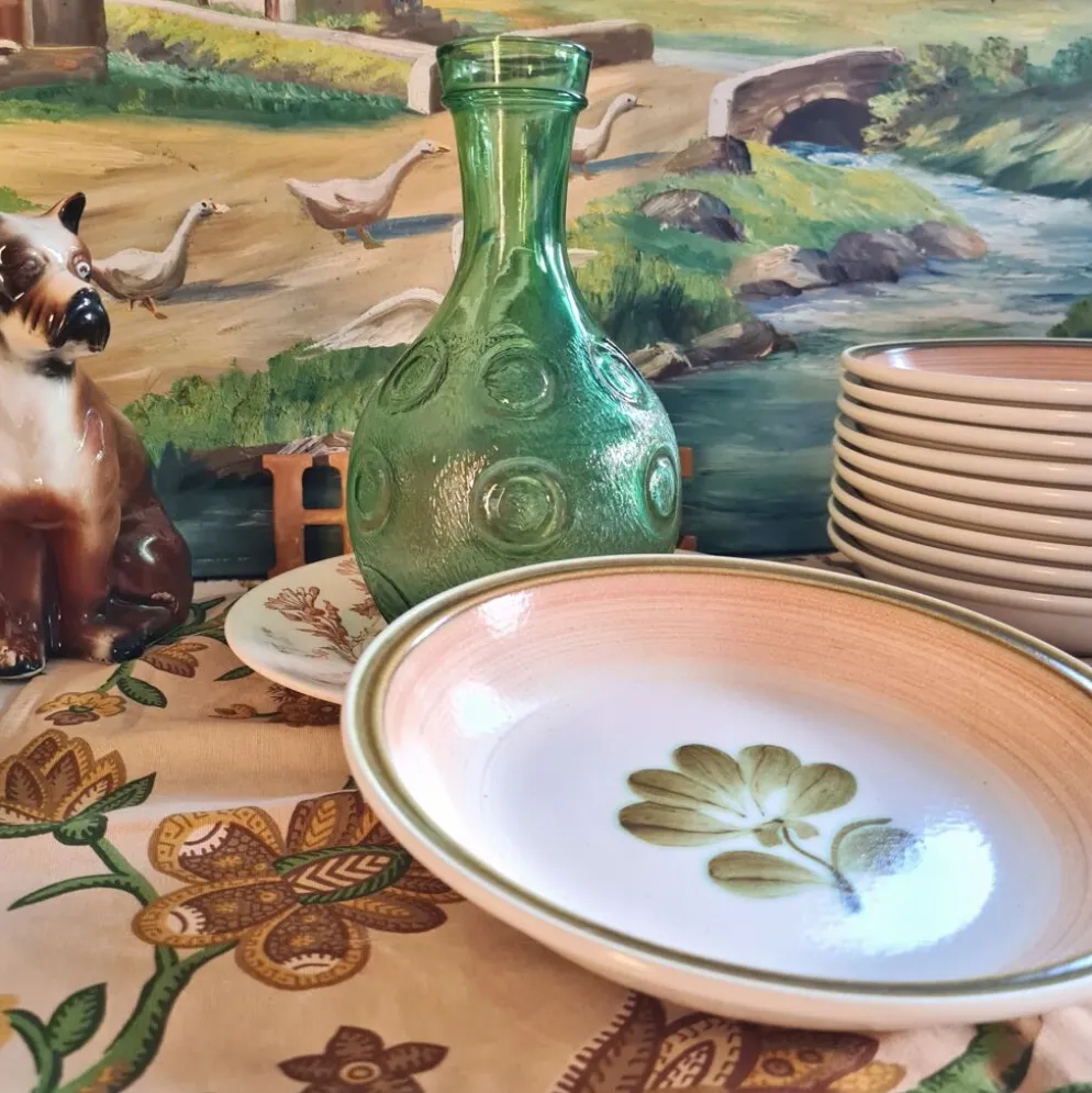Lot de 5 assiettes calottes gien modèle kandy
