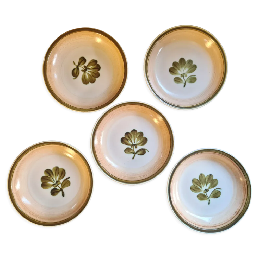 Lot de 5 assiettes calottes gien modèle kandy
