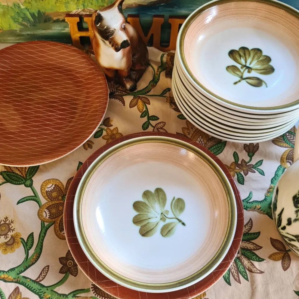Lot de 5 assiettes calottes gien modèle kandy