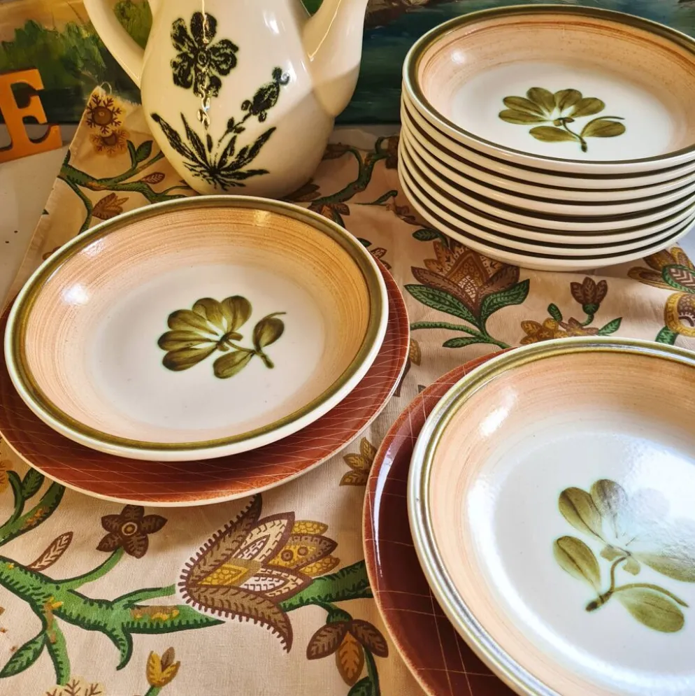 Lot de 5 assiettes calottes gien modèle kandy