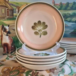 Lot de 5 assiettes calottes gien modèle kandy