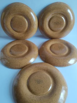 Lot de 5 assiettes à compartiments en gres Longchamp vintage