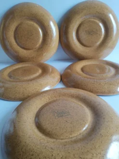 Lot de 5 assiettes à compartiments en gres Longchamp vintage