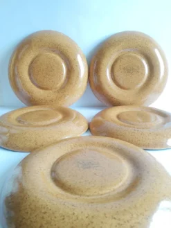 Lot de 5 assiettes à compartiments en gres Longchamp vintage
