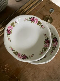 Lot de 6 assiettes creuses anciennes Gien modèle Champs