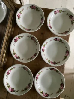 Lot de 6 assiettes creuses anciennes Gien modèle Champs
