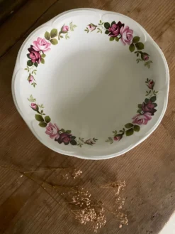 Lot de 6 assiettes creuses anciennes Gien modèle Champs