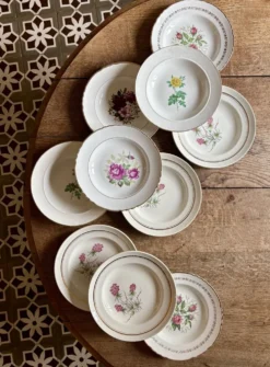 Lot de 10 assiettes creuses anciennes dépareillées