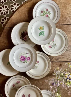 Lot de 10 assiettes creuses anciennes dépareillées