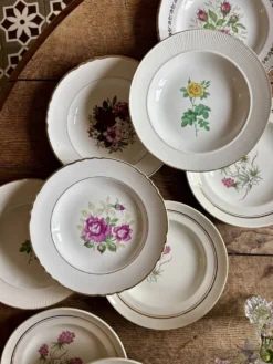 Lot de 10 assiettes creuses anciennes dépareillées