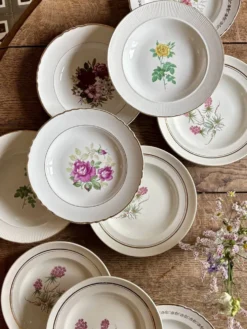 Lot de 10 assiettes creuses anciennes dépareillées