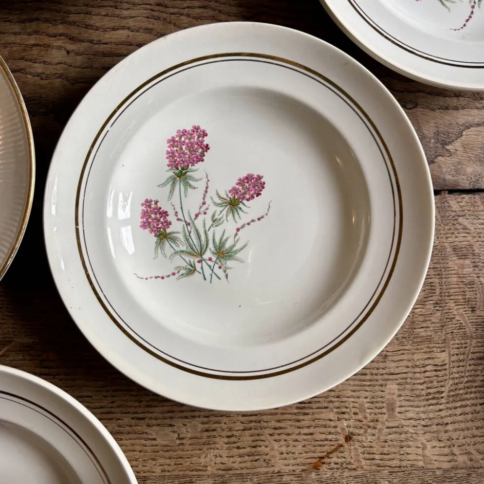 Lot de 10 assiettes creuses anciennes dépareillées