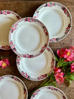 Lot de 6 assiettes creuses anciennes - Saint Amand Céranord