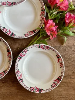 Lot de 6 assiettes creuses anciennes - Saint Amand Céranord