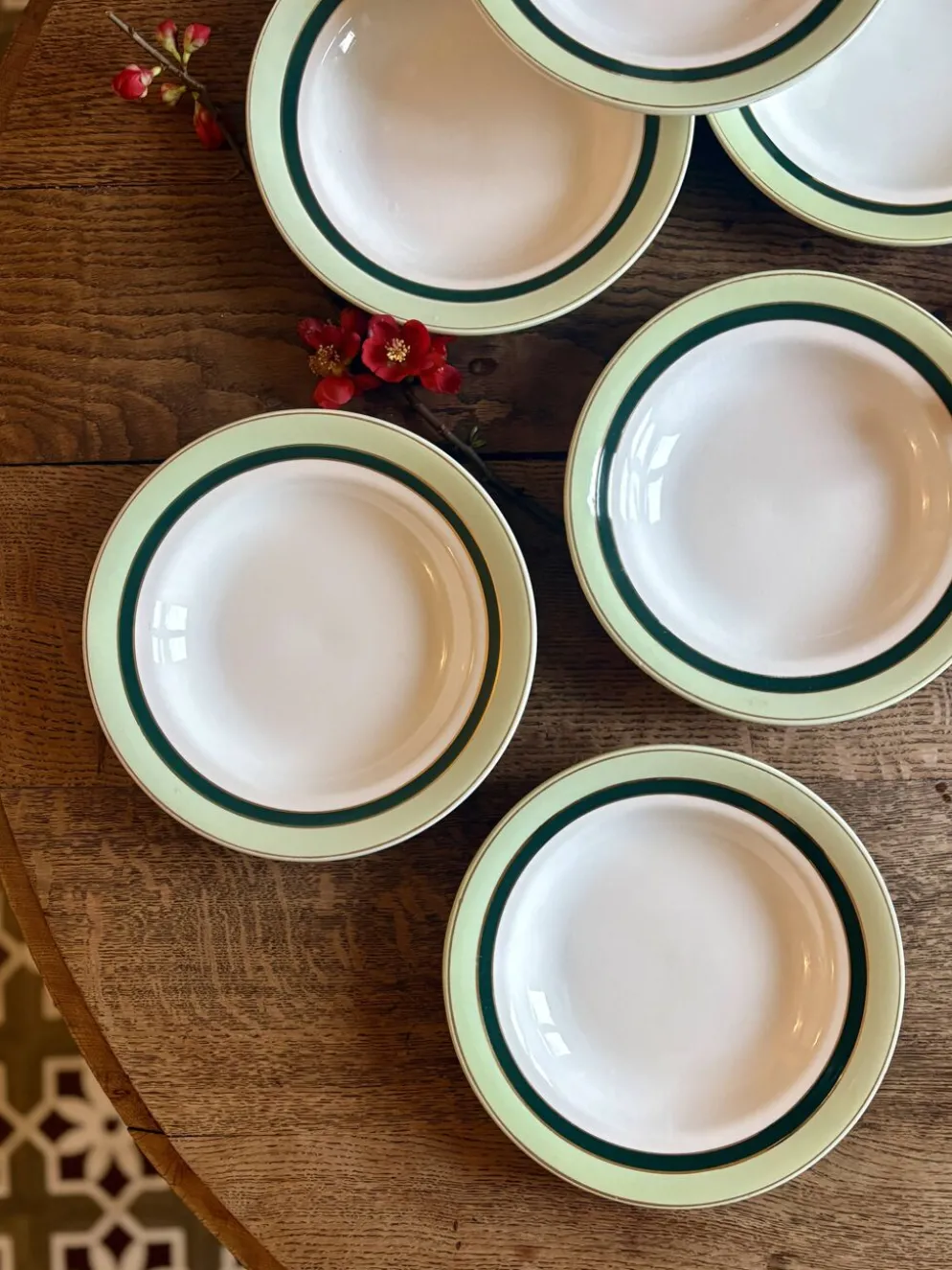 Lot de 7 assiettes creuses anciennes Salins - texas vert -
