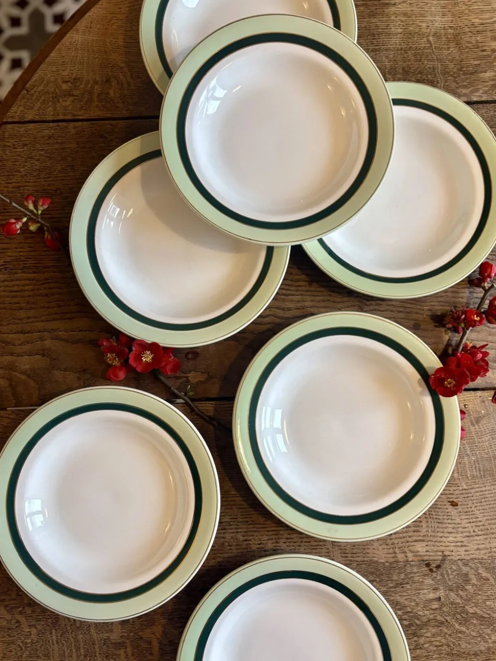 Lot de 7 assiettes creuses anciennes Salins - texas vert -