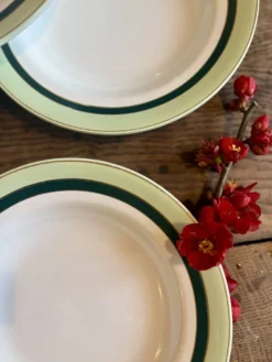 Lot de 7 assiettes creuses anciennes Salins - texas vert -