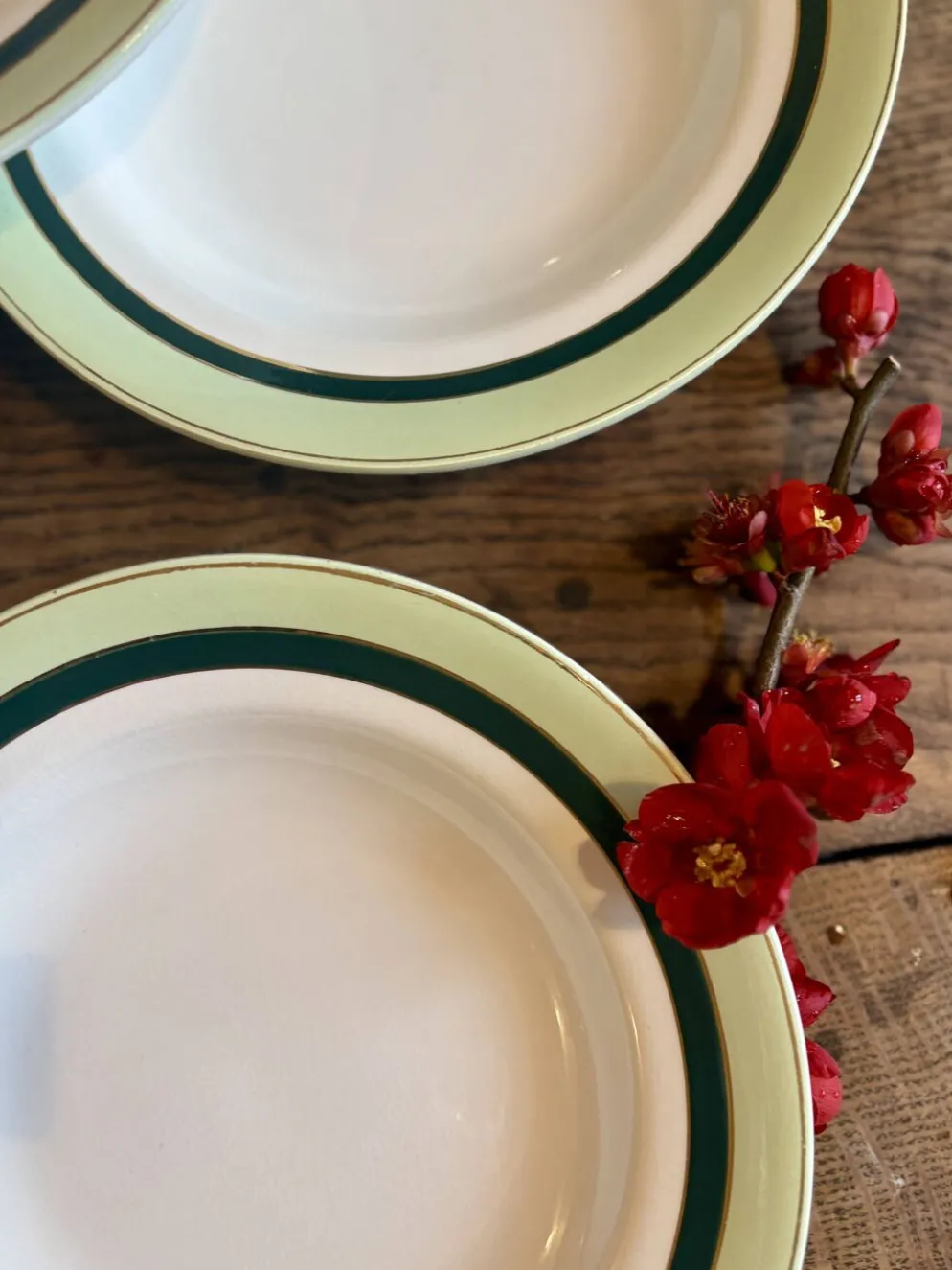 Lot de 7 assiettes creuses anciennes Salins - texas vert -