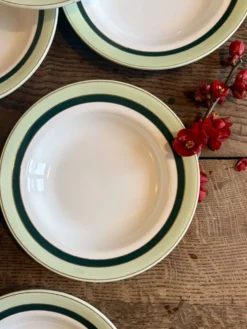 Lot de 7 assiettes creuses anciennes Salins - texas vert -