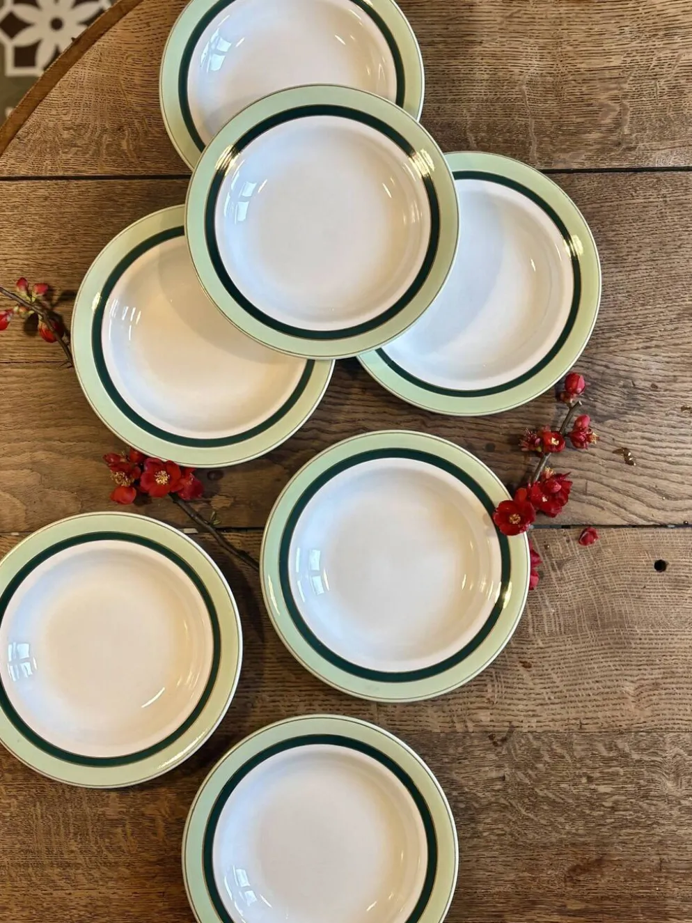 Lot de 7 assiettes creuses anciennes Salins - texas vert -