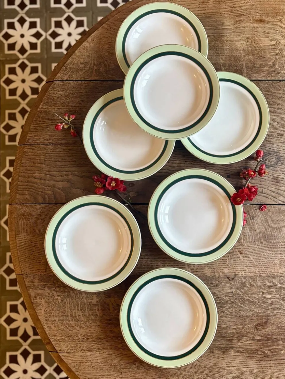 Lot de 7 assiettes creuses anciennes Salins - texas vert -