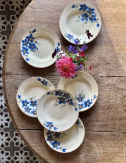 Lot de 6 assiettes creuses anciennes décors de bleuets