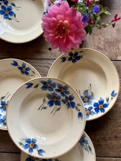 Lot de 6 assiettes creuses anciennes décors de bleuets