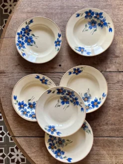 Lot de 6 assiettes creuses anciennes décors de bleuets