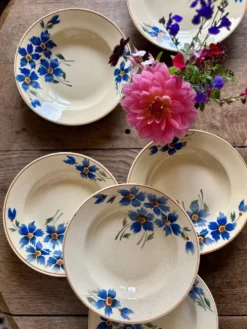Lot de 6 assiettes creuses anciennes décors de bleuets
