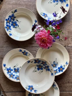 Lot de 6 assiettes creuses anciennes décors de bleuets