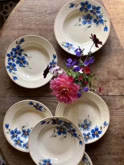 Lot de 6 assiettes creuses anciennes décors de bleuets
