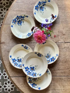 Lot de 6 assiettes creuses anciennes décors de bleuets