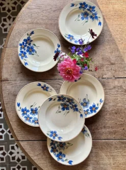 Lot de 6 assiettes creuses anciennes décors de bleuets