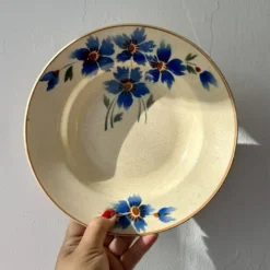 Lot de 6 assiettes creuses anciennes décors de bleuets