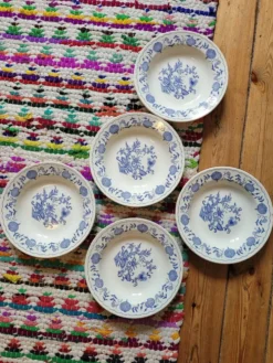 Lot de 5 assiettes creuses Blue Onion