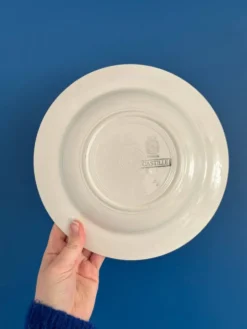 Lot de 6 assiettes creuses “Castille” - Sarreguemines