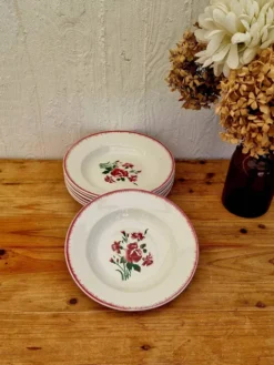 Lot de 7 assiettes creuses Digoin Sarreguemines Bouquet Fleuri