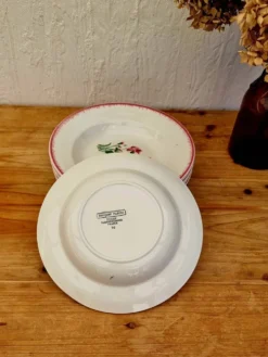 Lot de 7 assiettes creuses Digoin Sarreguemines Bouquet Fleuri