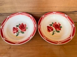 Lot de 2 assiettes creuses Digoin & Sarreguemines modèle "Cibon"
