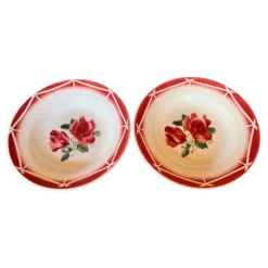 Lot de 2 assiettes creuses Digoin & Sarreguemines modèle 