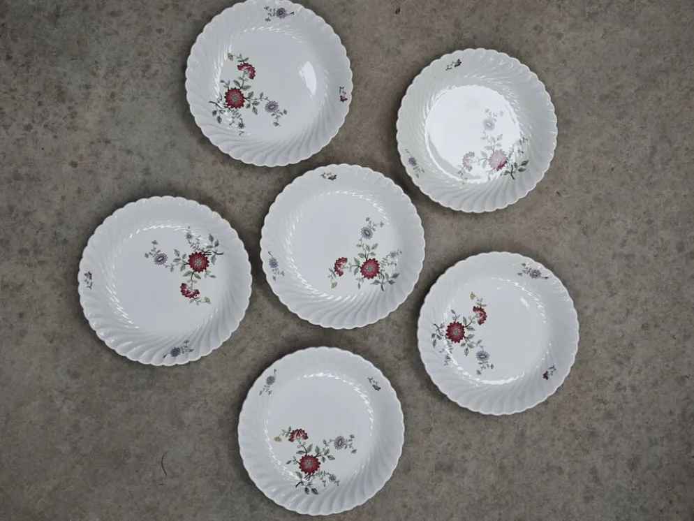 Lot de 6 assiettes creuses KG Lunéville Service Fleurs des Indes
